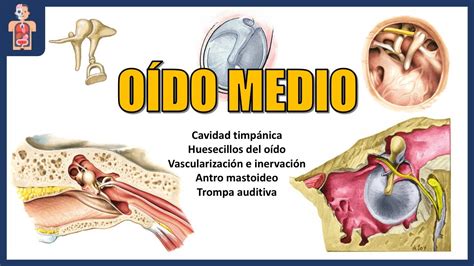oidix